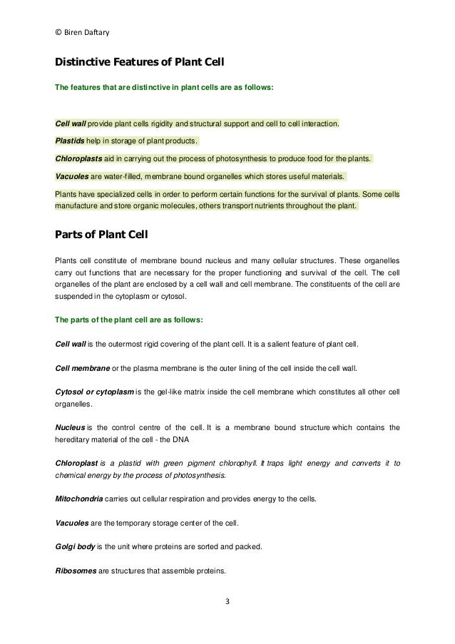 types of cell cellular organization definition